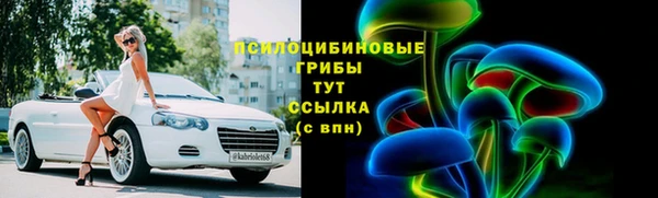 крисы Баксан