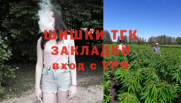 крисы Баксан