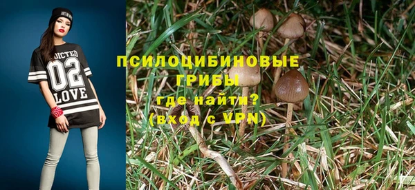 PSILOCYBIN Балахна