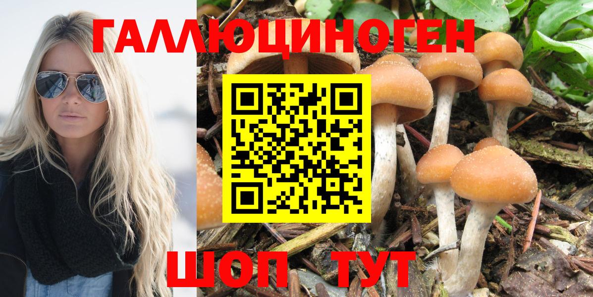 закладки  Вход с VPN  Корсаков  Галлюциногенные грибы Psilocybe  Псилоцибиновые грибы мицелий 