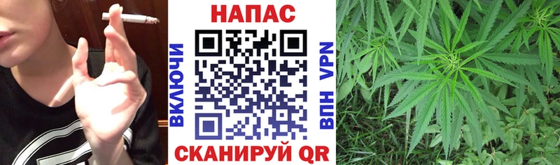 Каннабис гибрид  Корсаков 